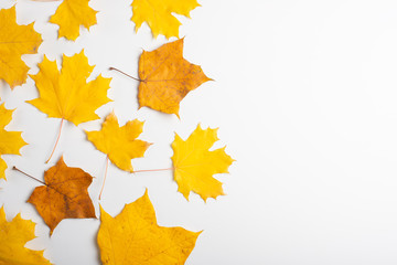 Autumn composition. Frame made of autumn dried leaves on white background. Flat lay, top view, copy space