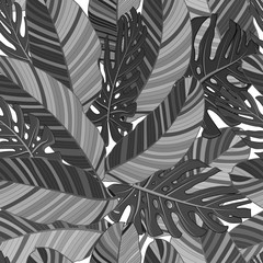 Monstera and banana tropical leaves seamless textile black and white pattern isolated. Set of vector elements, for tropical, exotic, summer design.