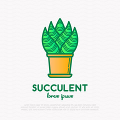 Succulent in pot. Thin line icon. Modern vector illustration of houseplant.