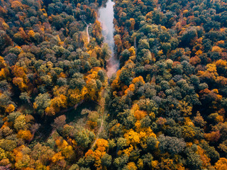 drone flight over autumn forest