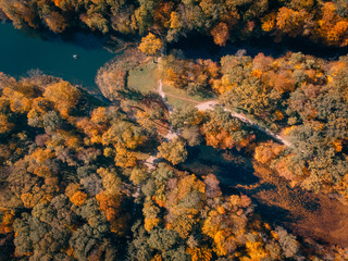 drone flight over autumn forest