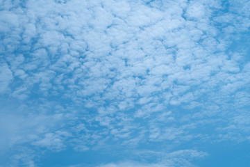 Fototapeta na wymiar blue sky background is filled with white clouds