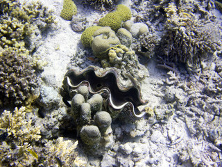 Fototapeta premium Rotes Meer