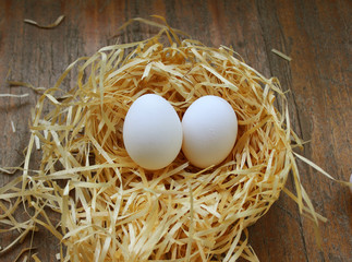 Two white eggs in nest