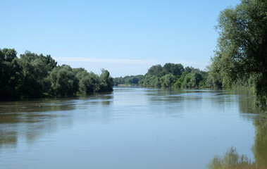 Fototapeta na wymiar The Sava River is one of the very few unchanged lowland rivers in Europe, Lonjsko polje in Croatia