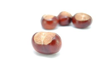 Ripe chestnuts on white background close-up