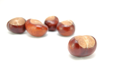 Ripe chestnuts on white background close-up