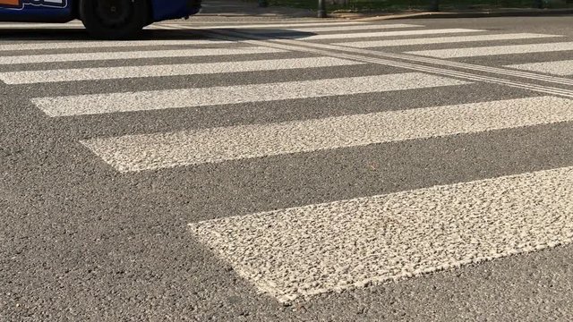 Traffic in city - road with driving cars by zebra. Vehicle near crosswalk, vehicle on street. Panda crossing with transport in town. View on crossover during green light for cars. Wheels on roadway