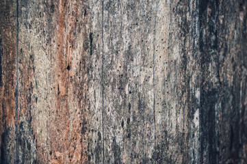 wood texture