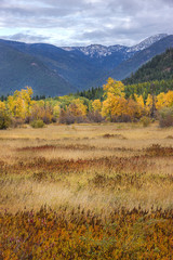 Western Montana in autumn.