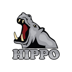 Obraz premium hippo logo for your business, vector llustration
