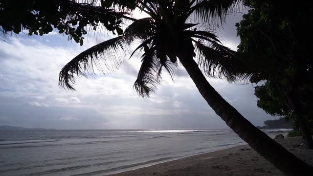 An almost stormy morning sunrise with a silhouette palm tree, scattered clouds, unpredictable weather, Anse Fourmis, Seychelles. Slow motion 50p.