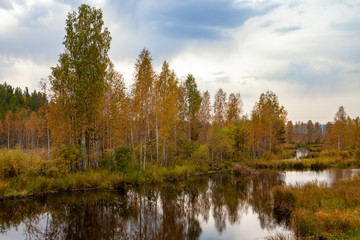 Fototapeta na wymiar Autumn beautiful forest on the banks of the pond background