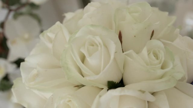 HD Close up shot of wedding white roses