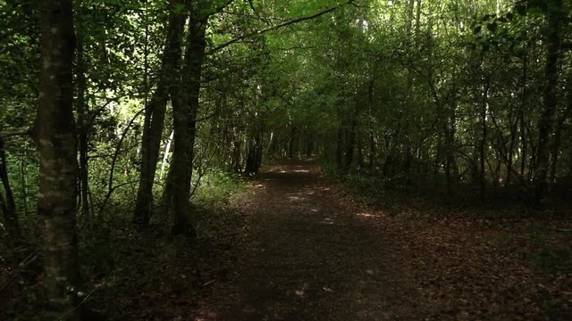 The lake of the bassa de oles in the valley of aran, Pyrenees