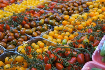 Yellow, red and green tomatoes for sale, purposely blurred, selective focus on tomato