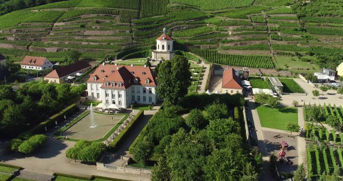 4K Drone aerial Castle Wackerbarth vine plantation