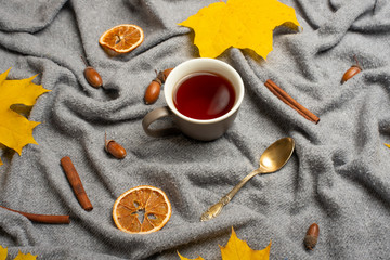 plaid with hot tea and a woolen blanket, autumn yellow leaves and white bulbs. Conception of warmth, comfort, comfort. View from above with empty space for an inscription