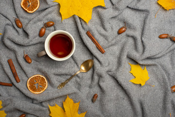 plaid with hot tea and a woolen blanket, autumn yellow leaves and white bulbs. Conception of warmth, comfort, comfort. View from above with empty space for an inscription