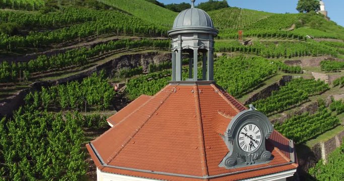 4K Drone aerial Castle Wackerbarth vine plantation