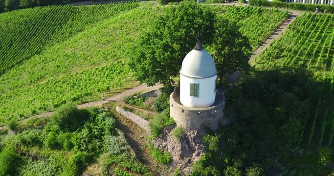 4K Drone aerial Castle Wackerbarth vine plantation