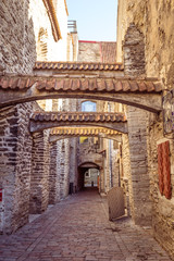 The St Catherine's Passage is historical cobbled street in the old town of Tallinn, Estonia