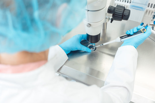 Labortechniker oder Arzt nimmt mit Pipette befruchtetes Ei auf