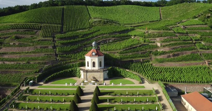 4K Drone aerial Castle Wackerbarth vine plantation