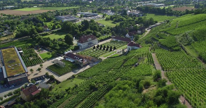 4K Drone aerial Castle Wackerbarth vine plantation