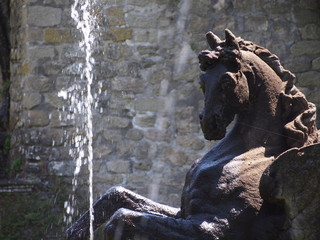 Fototapeta na wymiar fontana con statua di cavallo