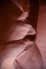 PAGE, AZ Spectacular rock formations in Lower Antelope Canyon.