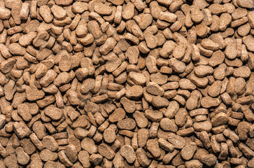 Dry dog food background