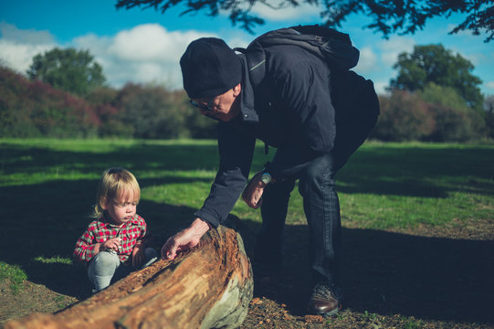 Toddler and grandfather looking at a log