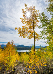 Fall colours in Crested Butte Colorado