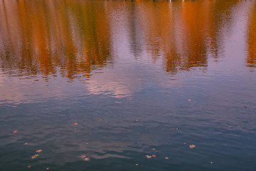 reflection in water