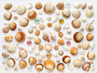 Pattern made of shells, nacre pieces and glass pebbles on white background