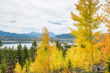 Fall colours in Crested Butte Colorado