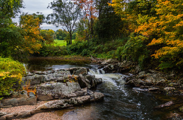 water flowing over rocky creek bed with golden hues of fall autumn foliage 