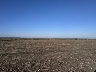 Field and sky