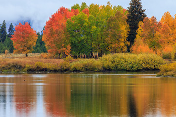 Scenic Autumn Reflection Landscape