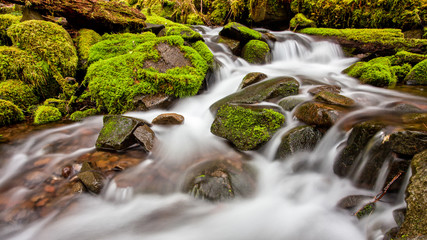 Fototapeta na wymiar A small cascade flowing near Sol Duc Falls, Olympic National Forest, Washington, USA