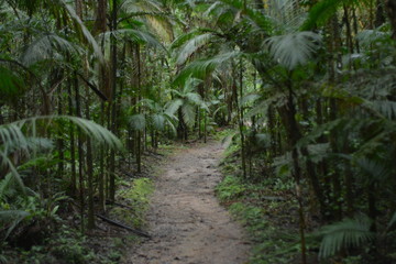 A natureza em suas diversas formas entre cachoeiras, cavernas e meio ambiente