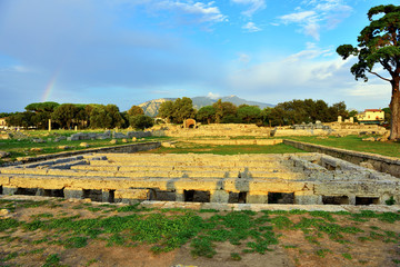 Paestum capaccio Italy The ancient ruins of remains of religious buildings of the ancient Greek...