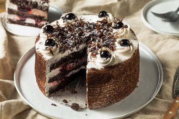 Sweet Homemade Black Forest Cake - obrazy, fototapety, plakaty