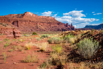 Fall colours in Crested Butte Colorado
