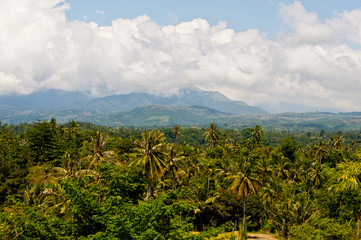landscpae in Indonesia