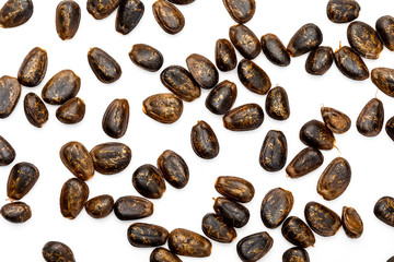Fototapeta premium Chirimoya nuggets (seeds). Texture on white background