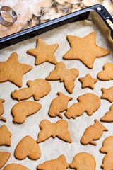 Preparing gingerbread cookies for Christmas. Various cookie shapes