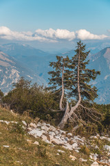 Beautiful alpine view at Feuerkogel summit -Ebensee - Salzburg - Austria