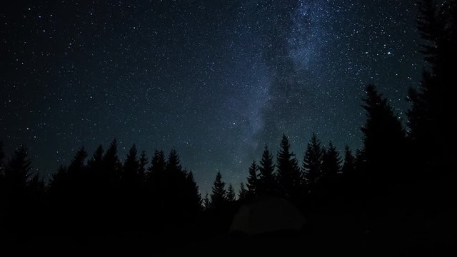 The Milky Way is moving in the night sky over the silhouettes of trees. Timelapse. 4K